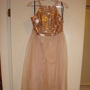 Forever 21 Champagne Tulle Dress